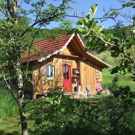 Sonniges-Naturnahes-Schwarzwald-Ferienhaeuschen Welschensteinach Extérieur photo