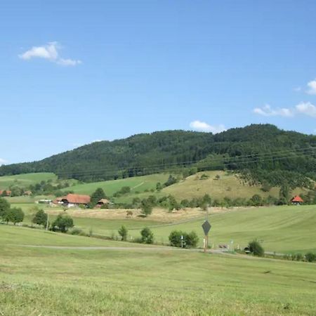 Sonniges-Naturnahes-Schwarzwald-Ferienhaeuschen Welschensteinach Extérieur photo