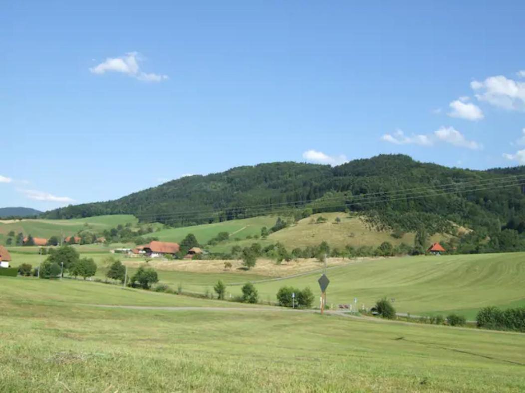 Sonniges-Naturnahes-Schwarzwald-Ferienhaeuschen Welschensteinach Extérieur photo