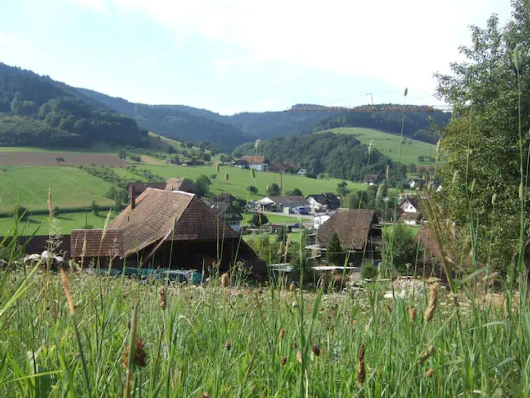Sonniges-Naturnahes-Schwarzwald-Ferienhaeuschen Welschensteinach Extérieur photo