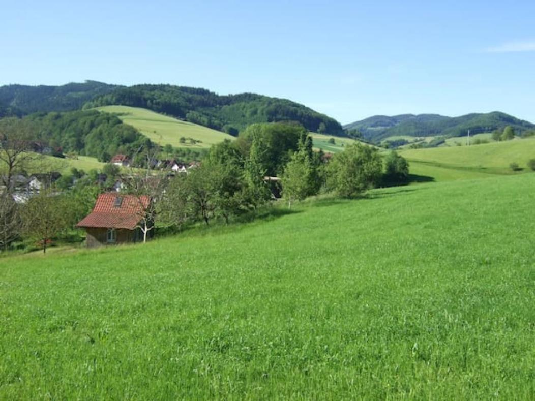 Sonniges-Naturnahes-Schwarzwald-Ferienhaeuschen Welschensteinach Extérieur photo