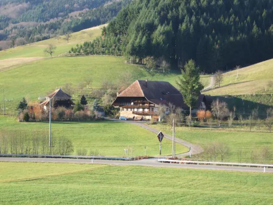 Sonniges-Naturnahes-Schwarzwald-Ferienhaeuschen Welschensteinach Extérieur photo